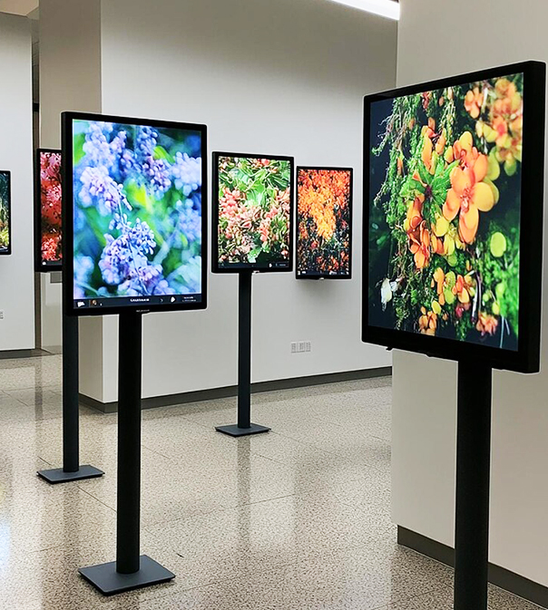 Digital Display