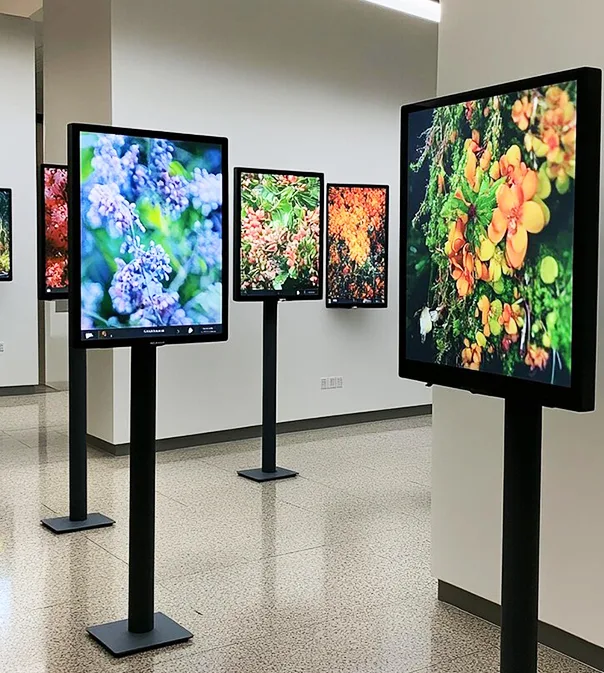 Digital Display