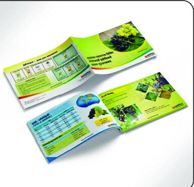 Catalogues design work by Print Media Designing