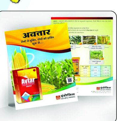 Leaflets work samples