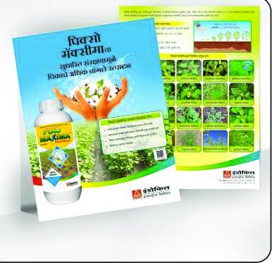 Leaflets design work by Print Media Designing