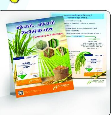 Leaflets design work by Print Media Designing