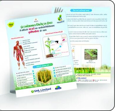 Leaflets design work by Print Media Designing