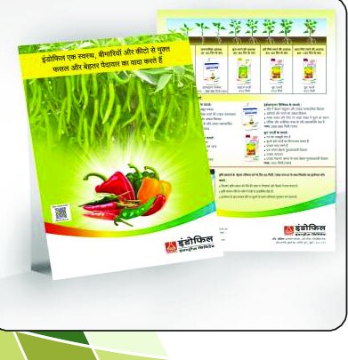 Leaflets design work by Print Media Designing