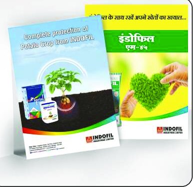 Leaflets design work by Print Media Designing