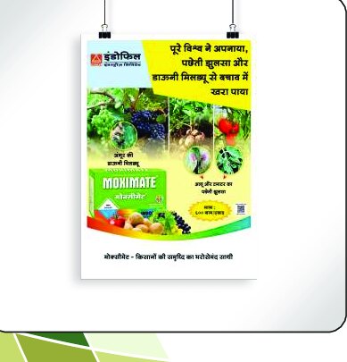 Posters design work by Print Media Designing