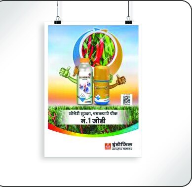 Posters design work by Print Media Designing