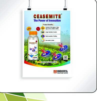 Posters design work by Print Media Designing